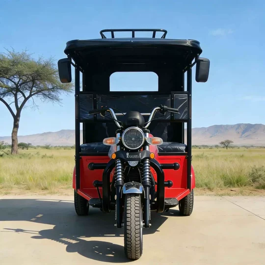 TRIVARO 300cc Passenger Trike 1000kg Payload — Model 163ML