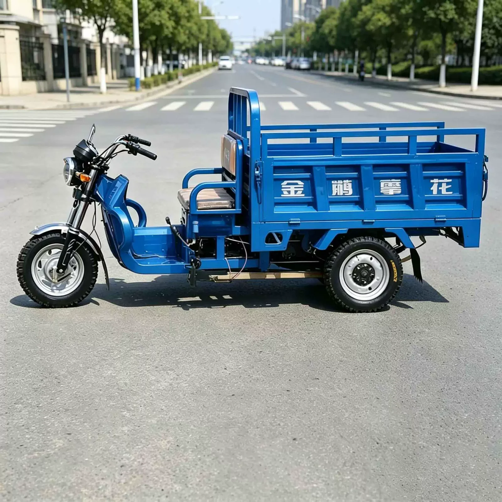 TRIVARO Electric Tricycle for Export, 1 Seat — Model TRV-67923187