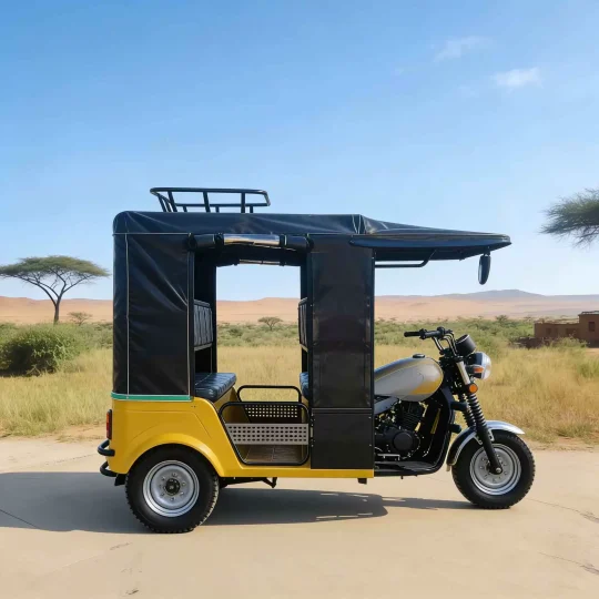 TRIVARO 200cc Passenger Trike 1000kg Payload — Model RS-ZH200-C