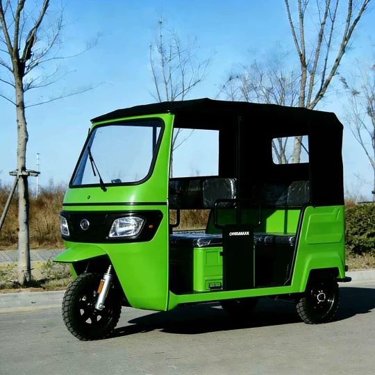 TRIVARO 300cc Passenger Trike 1000kg Payload — Model 163ML