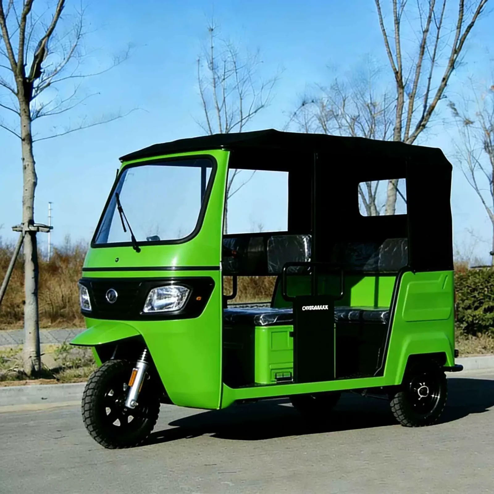 TRIVARO 300cc Passenger Trike 1000kg Payload — Model 163ML