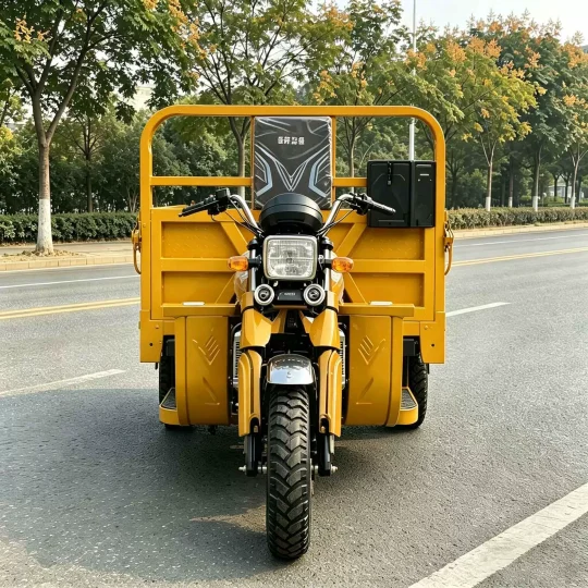TRIVARO 150cc Cargo Trike 500kg Payload — Model TRV-84906537