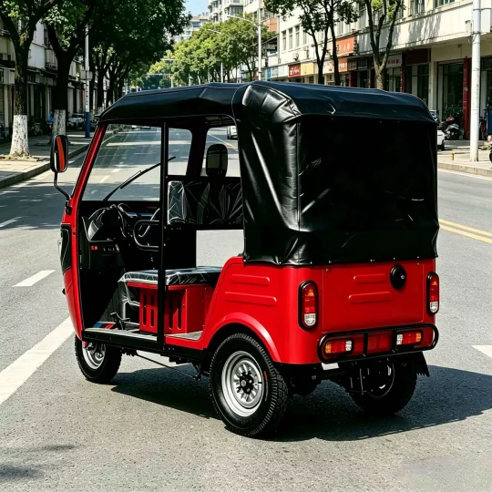 TRIVARO 300cc Passenger Trike 1000kg Payload — Model 163ML