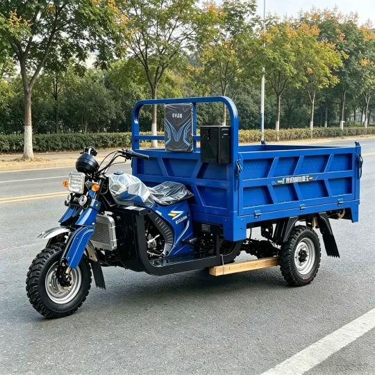 TRIVARO Fuel Cargo Trike for Export, 1 Seat — Model TRV-97636556