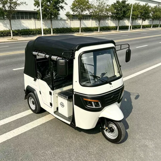 TRIVARO 200cc Passenger Trike 1000kg Payload — Model RS-ZH200-C