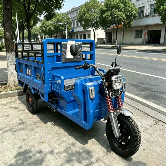 TRIVARO Fuel Cargo Trike Dump for Export, 1 Seat — Model TRV-70647077