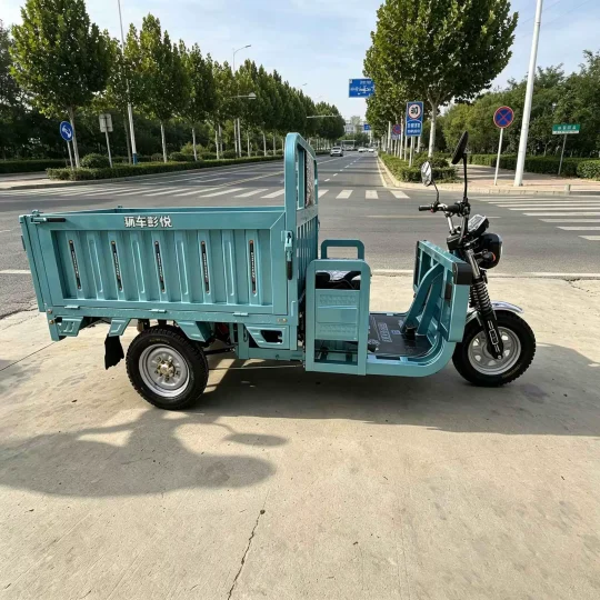 TRIVARO Fuel Cargo Trike Dump for Export, 1 Seat — Model TRV-68916524