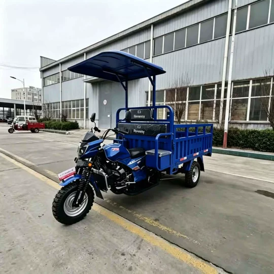 TRIVARO 150cc Passenger Trike 2000kg Payload — Model TRV-55875770