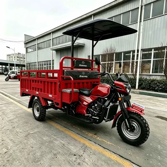 TRIVARO Fuel Cargo Trike for Export, 1 Seat — Model JS150ZH-5D