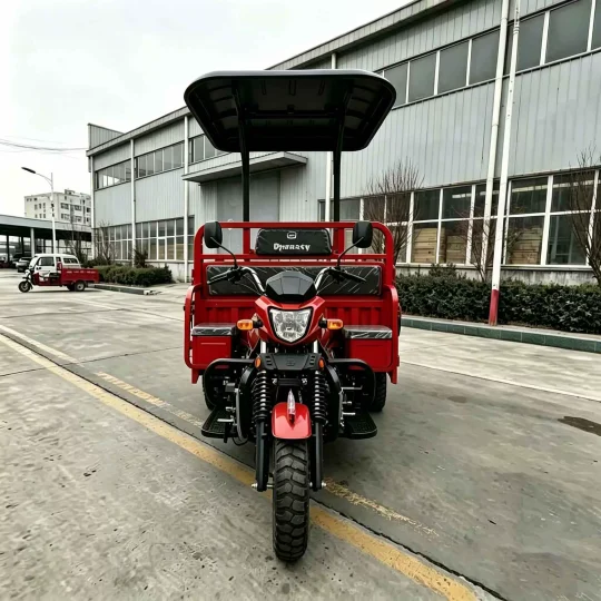 TRIVARO 110cc Cargo Trike for Export — Model JS150ZH-5D