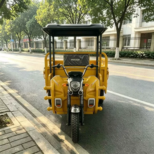 TRIVARO Fuel Cargo Trike for Export, 1 Seat — Model TRV-98264567