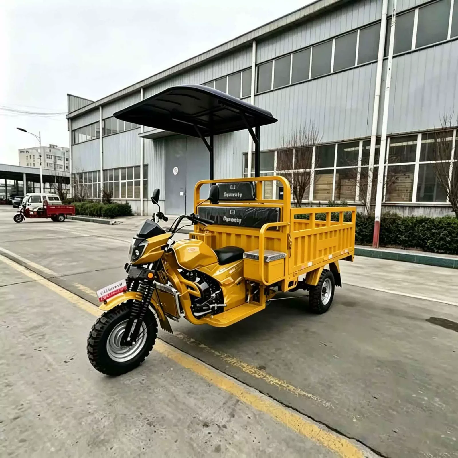 TRIVARO Fuel Passenger Trike for Export — Model TRV-41434857