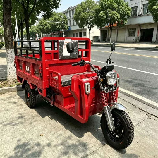 TRIVARO Fuel Cargo Trike for Export, 1 Seat — Model TRV-38124138