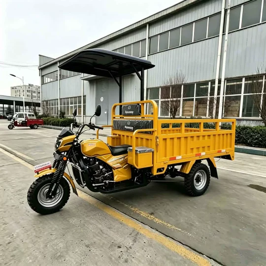 TRIVARO Fuel Cargo Trike for Export, 1 Seat — Model TRV-38061355