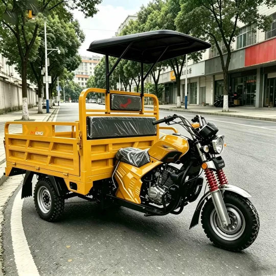 TRIVARO Fuel Cargo Trike 450kg Payload, 1 Seat — Model XL150ZH-Q1