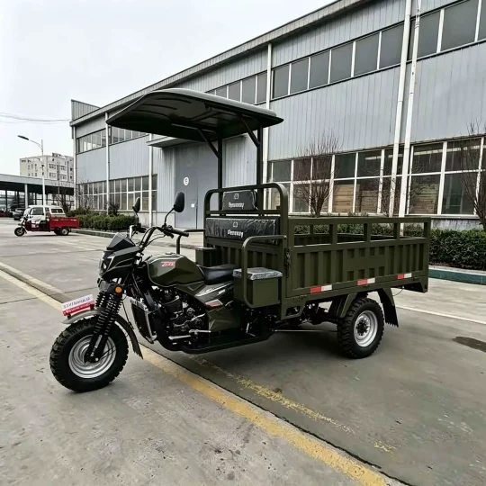 TRIVARO 150cc Cargo Trike for Export — Model SHS150ZH-2F