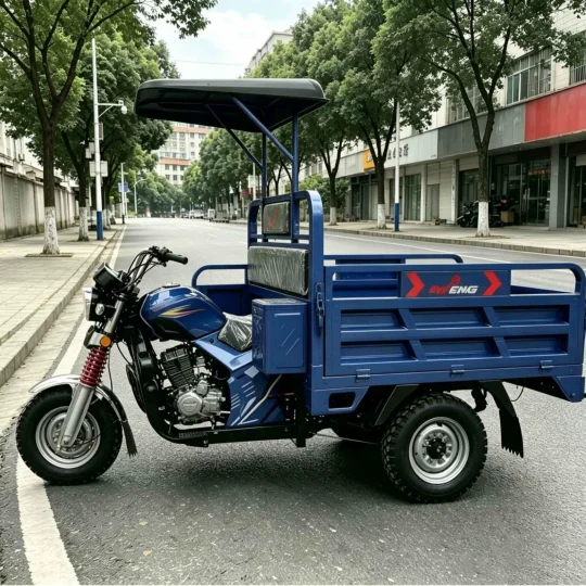 TRIVARO 150cc Cargo Trike 1200kg Payload — Model TRV-19688907