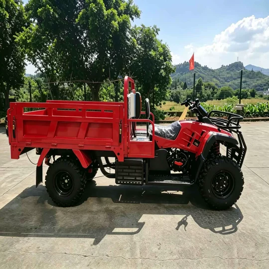 TRIVARO Fuel Cargo Trike Dump for Export, 1 Seat — Model TRV-62265237