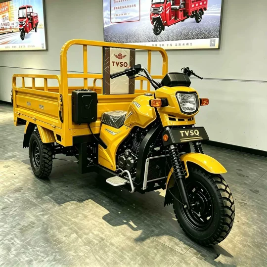 TRIVARO Fuel Cargo Trike for Export, 1 Seat — Model JS150ZH-5D