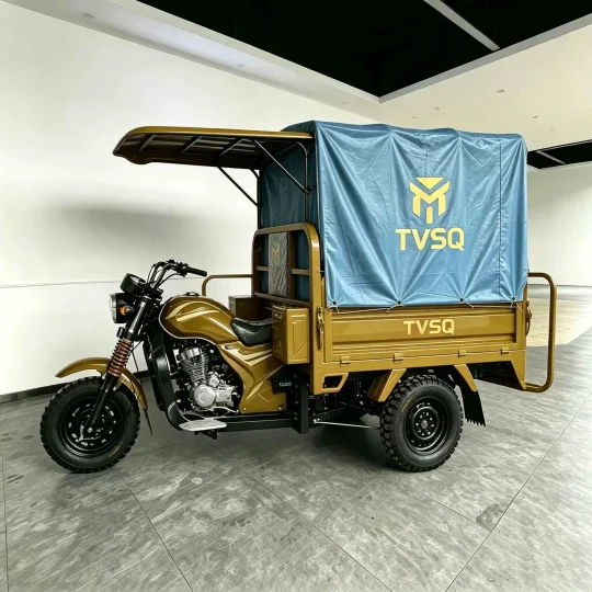 TRIVARO Fuel Cargo Trike for Export, 1 Seat — Model TRV-20033571
