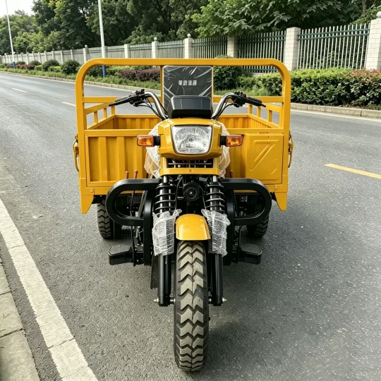 TRIVARO Fuel Tricycle for Export, 1 Seat — Model LC