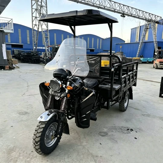 TRIVARO 175cc Cargo Trike for Export — Model TRV-19651409