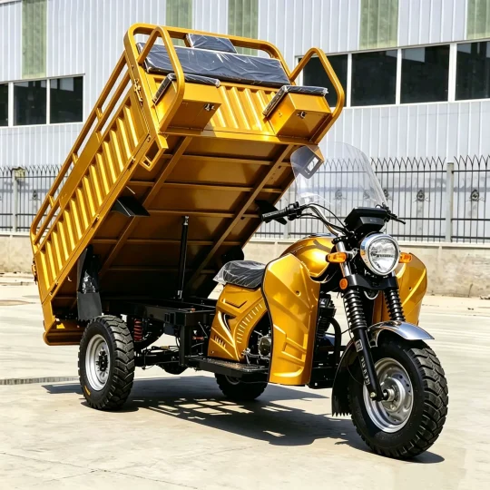 TRIVARO 150cc Cargo Trike for Export — Model JS150ZH-5D