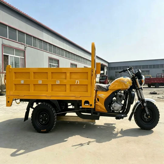 TRIVARO Fuel Cargo Trike for Export, 1 Seat — Model TRV-10530071