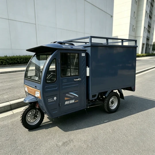 TRIVARO 175cc Cargo Trike for Export — Model JS150ZH-5D