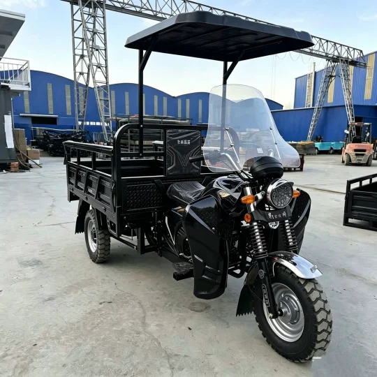 TRIVARO 175cc Cargo Trike for Export — Model TRV-75268628