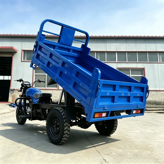TRIVARO 200cc Passenger Trike 1000kg Payload — Model JS150ZH