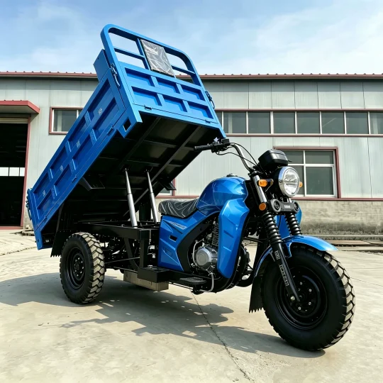 TRIVARO 300cc Tricycle 500kg Payload